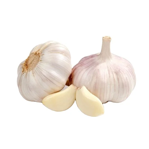 High Quality Bulk New Crop Vegetable Fresh white Garlic / White Garlic for sale in large supply | Garlic Supplier from America