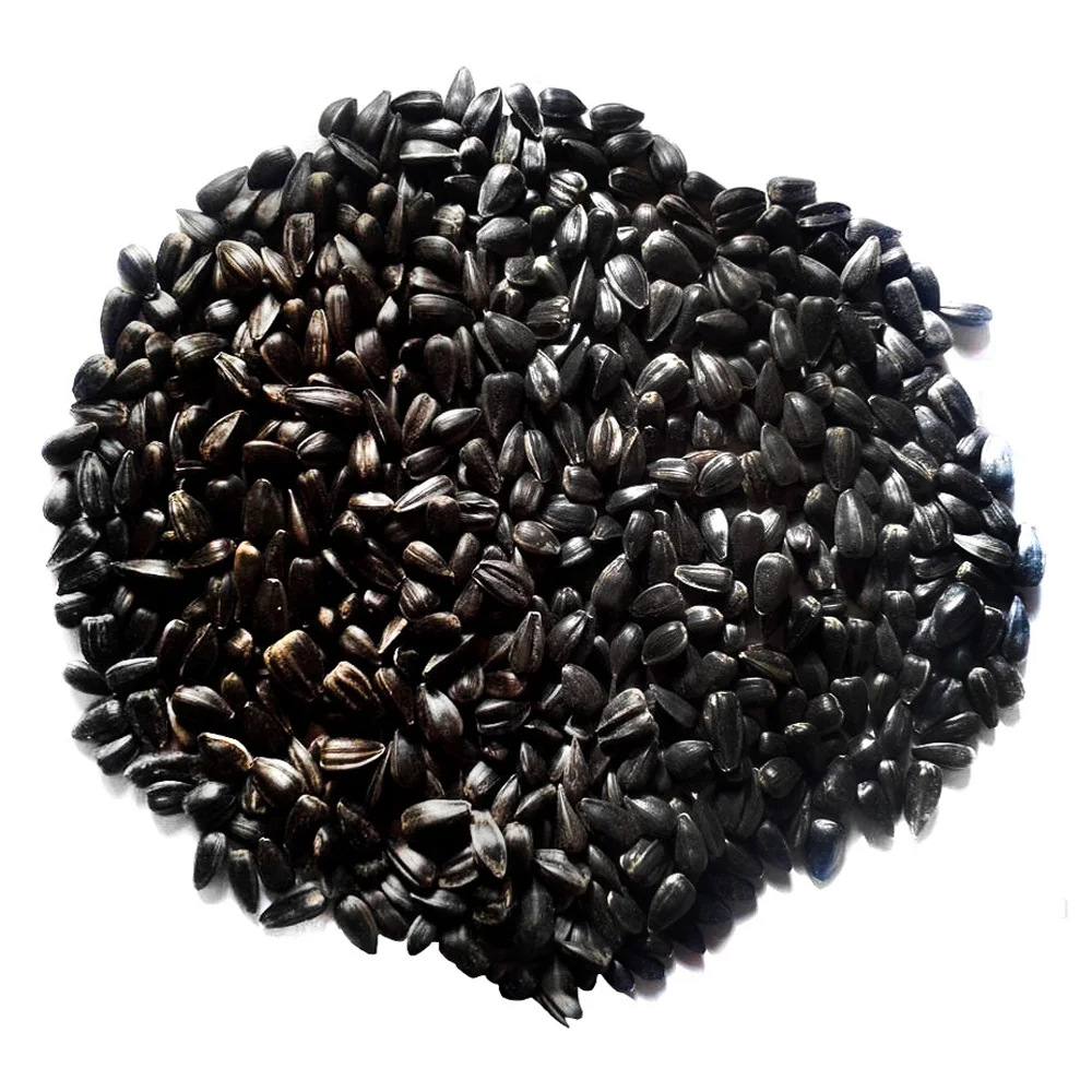 High quality sunflower seeds for sale from manufacturer oil seeds for sale in bulk