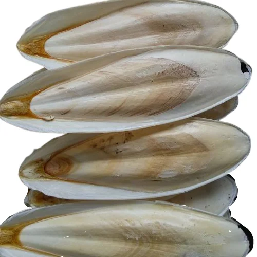 Оптовая продажа, косточка кальмара, косточка для рыбы, косточка для птицы