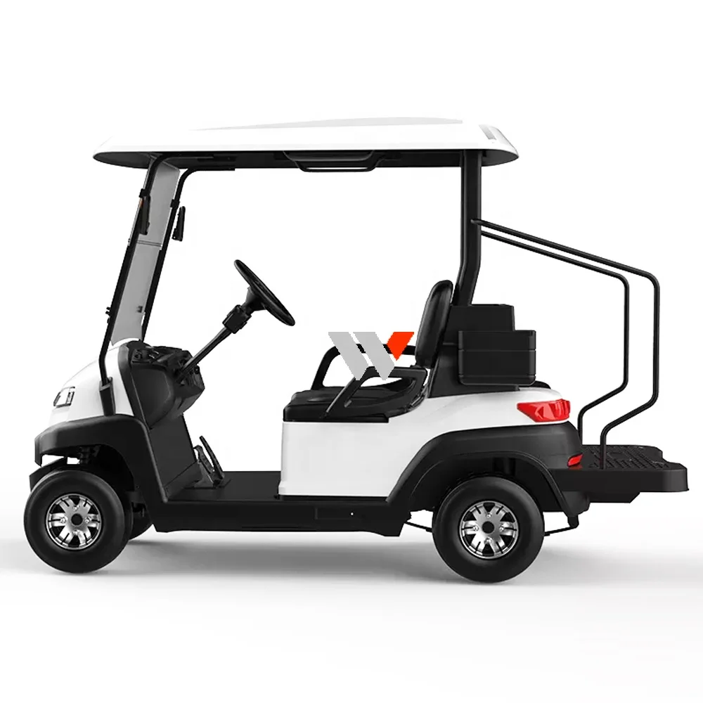 WFSEN S2 48v 4kw manufacturer mini 2 4 6 8 seater golf cart electric golf car with part