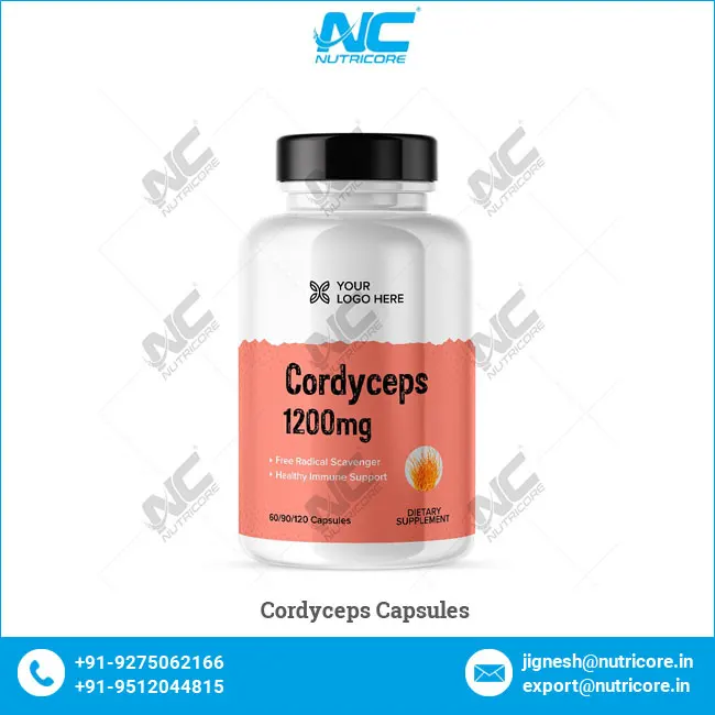 Excellent Quality Wholesale Healthcare and Dietary Supplements Top Selling Natural Cordyceps Capsules Suppliers