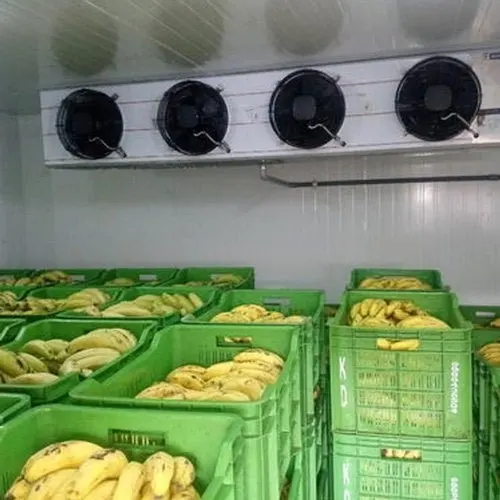 High speed cold storages Panels buy Cold storage warehouse Cold storage solutions buy banana ripening chamber