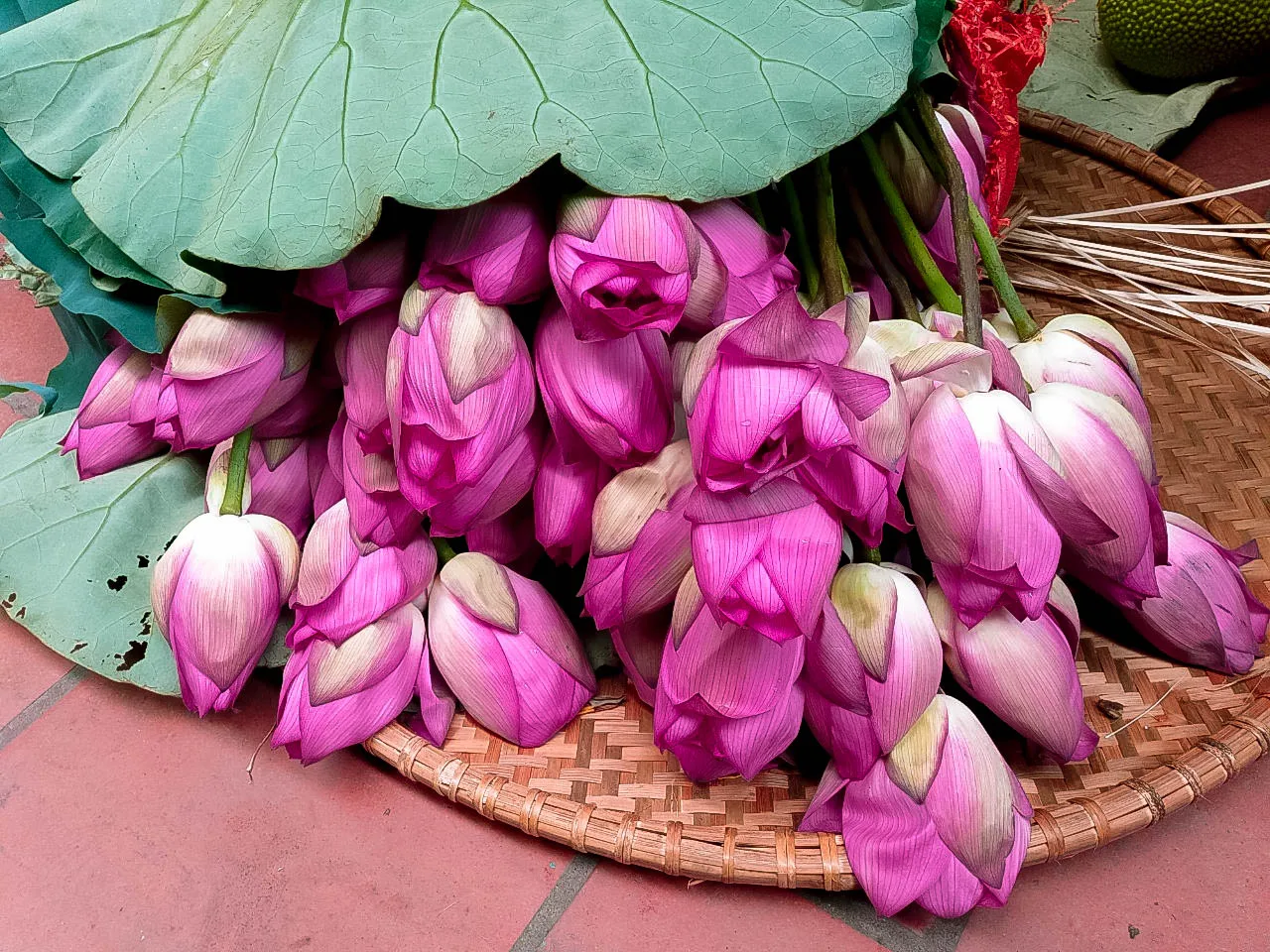 BEST PRICE FOR CONSUMER !!! BEST EXPORT COMPETITIVE PRICE FOR LOTUS FLOWER PRODUCT IN 2022