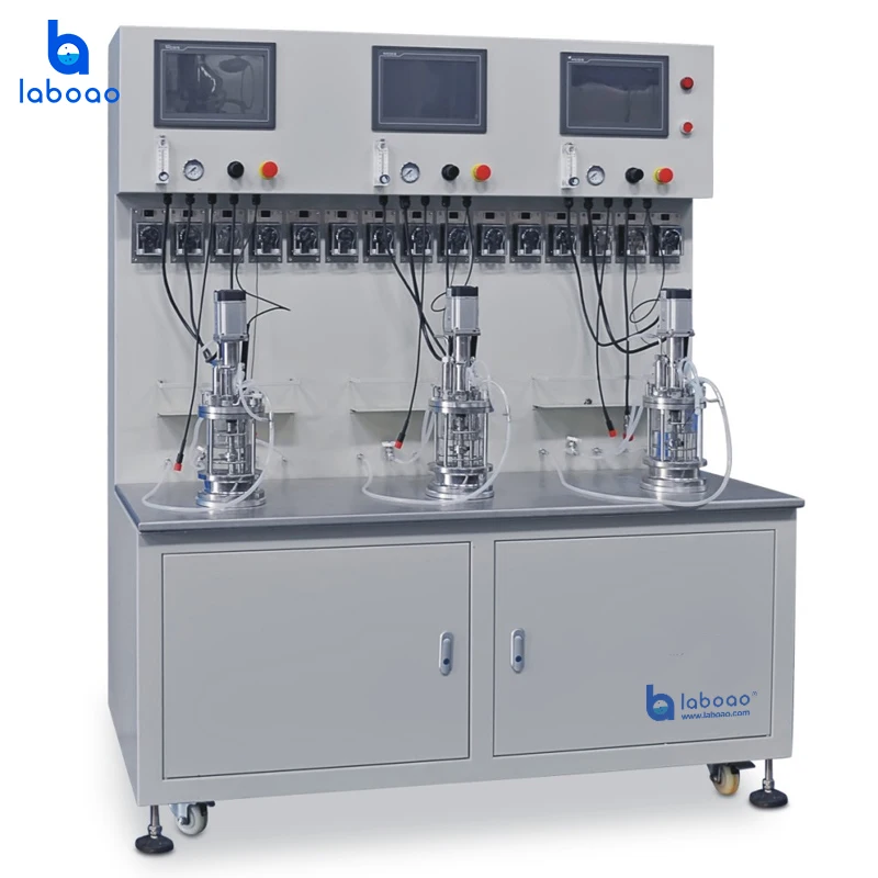 Laboao Microorganisms Vaccine Bioreactor Laboratory Fermentor