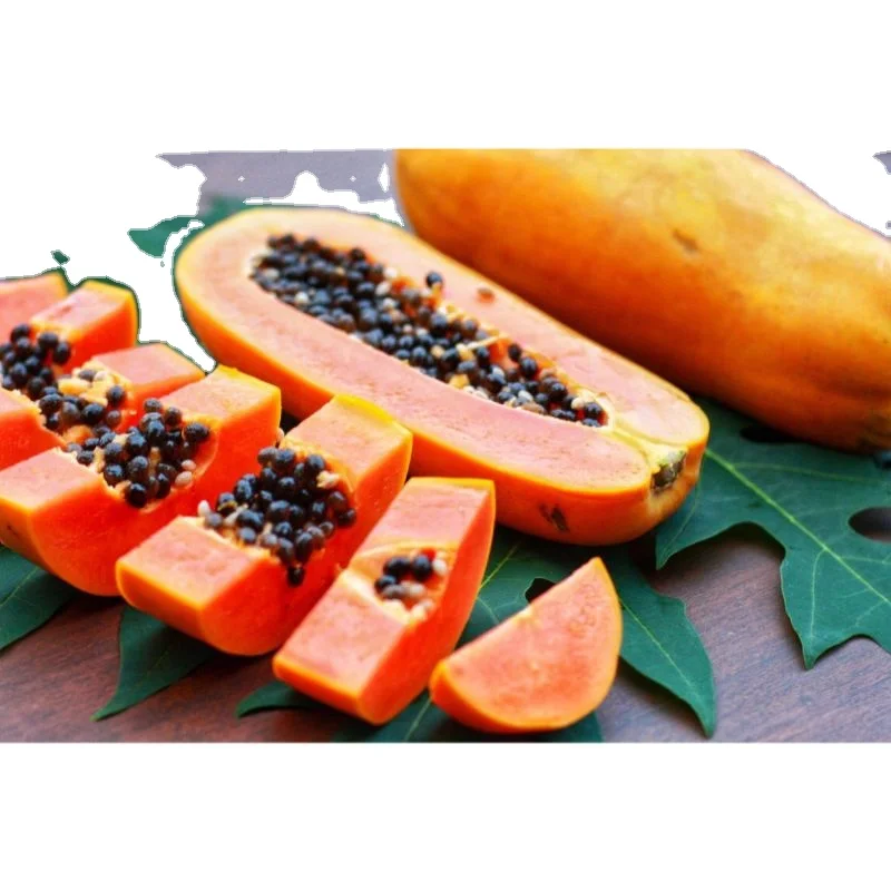 99% чистота для тайваньской Красной дамской папайи в 500 штук в упаковке на экспорт для красной славы f1 из Индии от DHL