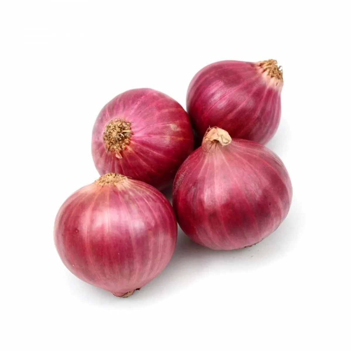 Quality Product Bulk Price Fresh Red and Yellow Onion