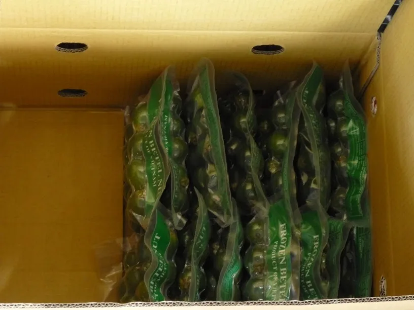 100% FRESH ASPARAGUS SUPER HIGH STANDARD WITH COMPETITIVE PRICE FROM VIETNAM 2023