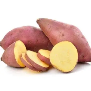 Вьетнам оптовая дешевая цена экспорт натуральный высококачественный свежий сладкий картофель в коробке