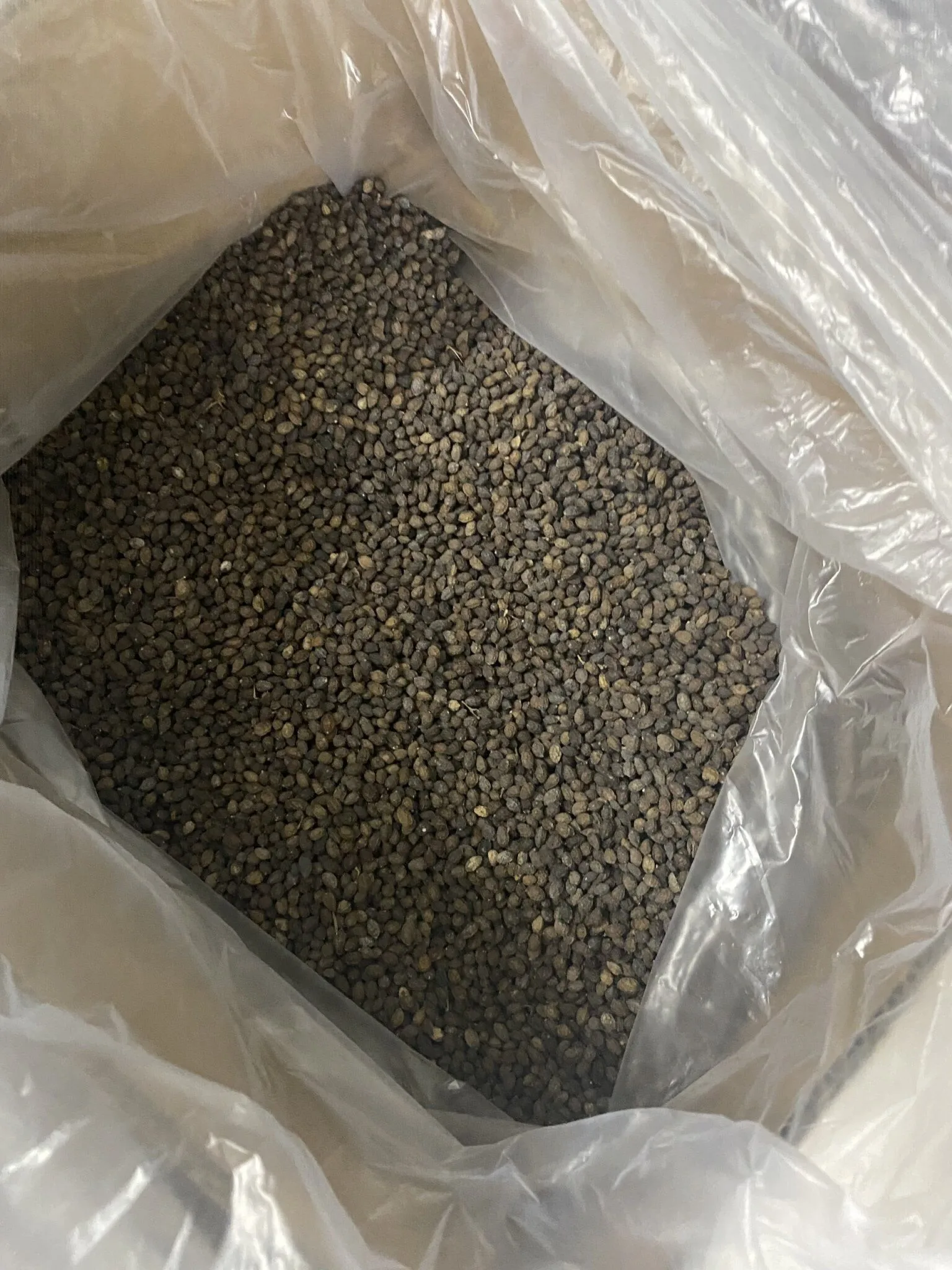 Crushed papaya seeds help treat acne