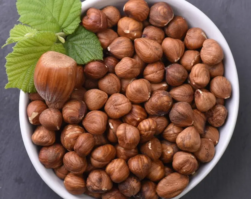 Natural Taste Quality Blanched Hazelnut/Hazel / The Most Preferred Hazelnut Wholesale