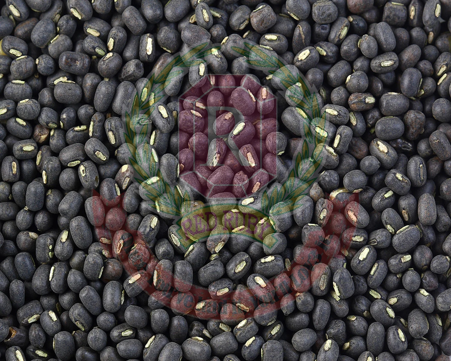 Urud Whole ( Black Matpe)