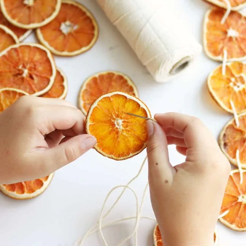 Delicious Natural Taste Dry Citrus Fruit Slice Dried Orange Slices Competitive Price Dehydrated Tangerines