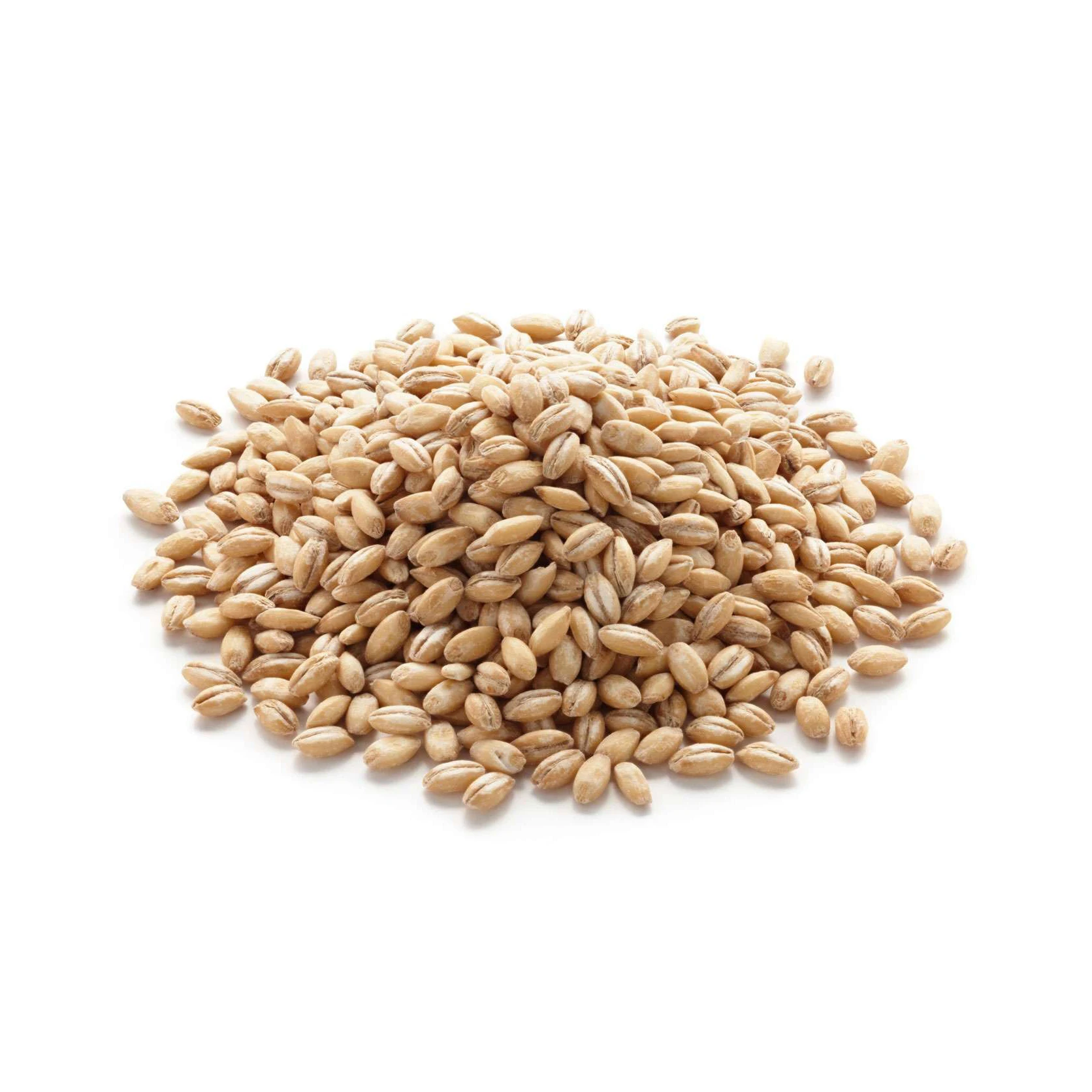 Farming Bulk Malted Barley, Barley Grain Ready For Export For Sale