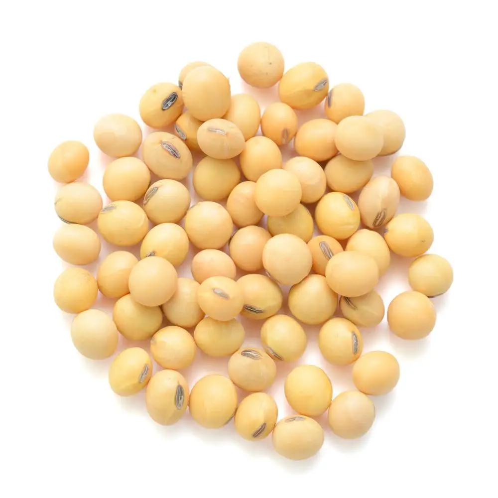 Top Brazilian Wholesale Low Price Fresh soybean for sale