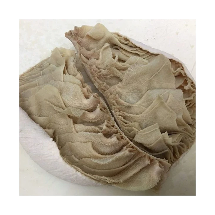 SALTED BEEF OMASUM SCALDED OMASUM and BEEF TRIPE