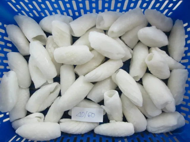 WE SUPPLY FROZEN SQUID TUBE CUTTLEFISH TUNA FILLETS