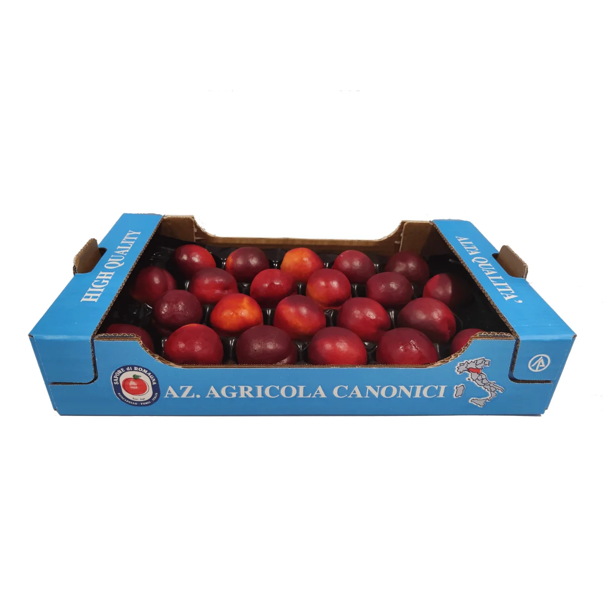 Italian Fresh Nectarines from Emilia Romagna, Full color, A size, 50x30 One layer box, Azienda Agricola Canonici Premium Quality