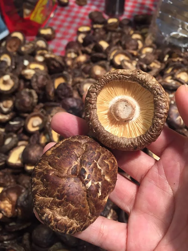 1kg 4cm Wholesale Bulk Dried Shiitake Mushroom Prices 99GD Raw Material Flavors High Quality