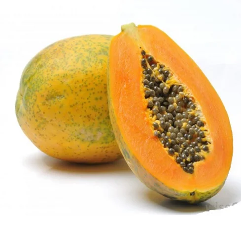 Fresh Papaya Fruit from India Low price for export 100% High Quality Fruit