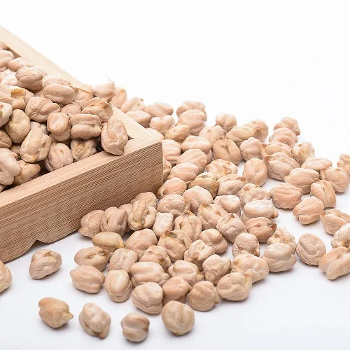 High Quality White Chick Pea Beans Natural Organic Desi Chickpeas From Indian Supplier worldwide
