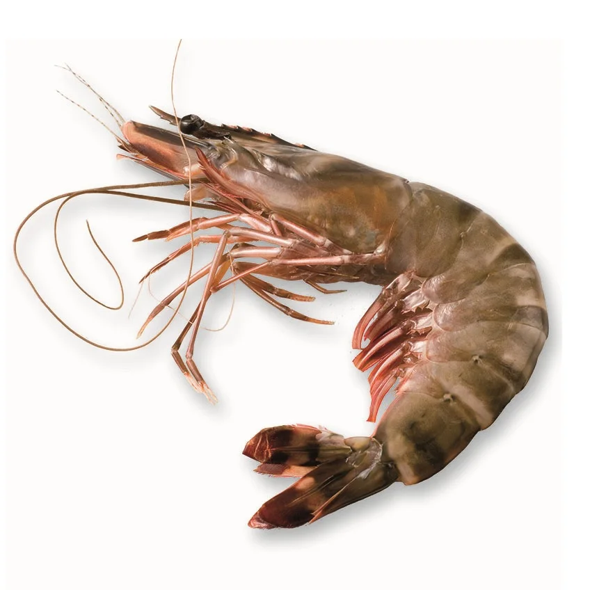 Hot Sale Seafood Frozen Vannamei Shrimps HLSO with Cheap Price Quality White Prawns for Export Bag Bulk Style