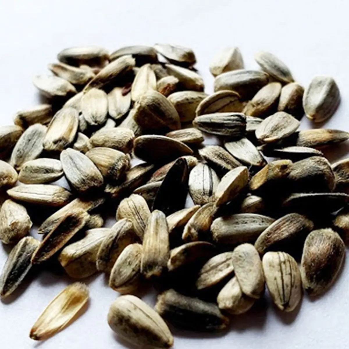 GOOD Sunflower seeds