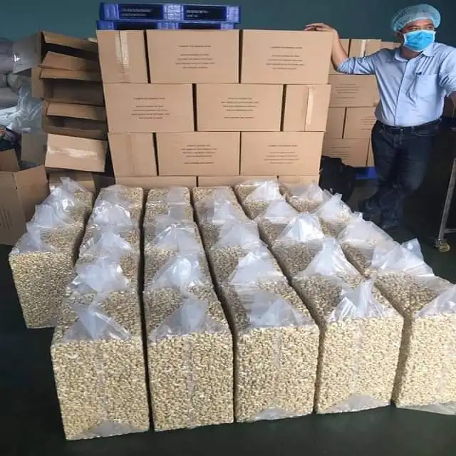 Fresh Kaju Authentic Flavor Hot Sale Natural Wholesale Raw Cashew Nuts (RCN) W180 W240 W320 W450 LP BB Blanched Processing