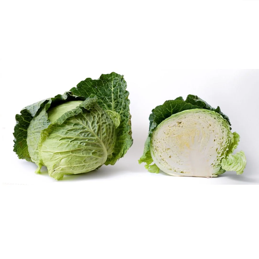 Competitive Price Organic Cabbage Style Piece Weight Origin Type Variety Product Fresh Place Model Cultivation From Bangladesh