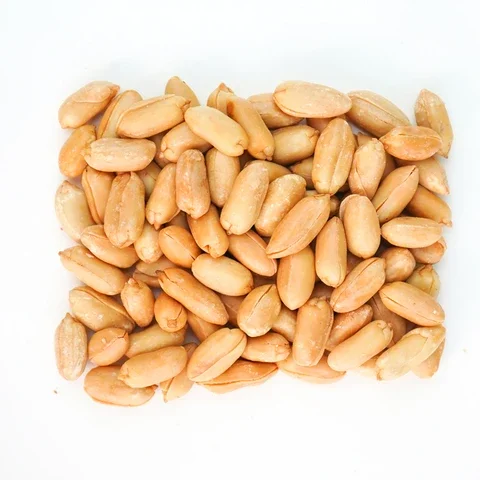 High Quality Raw Peanuts, pea nut, Roasted, Raw Ground nuts