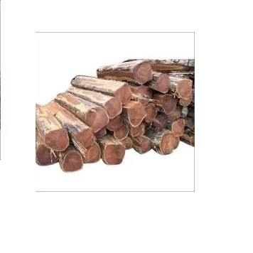 100% Pure Timber Logs Teak Wood / Oak Wood Logs / Pine Wood Logs Good Quality Best Selling