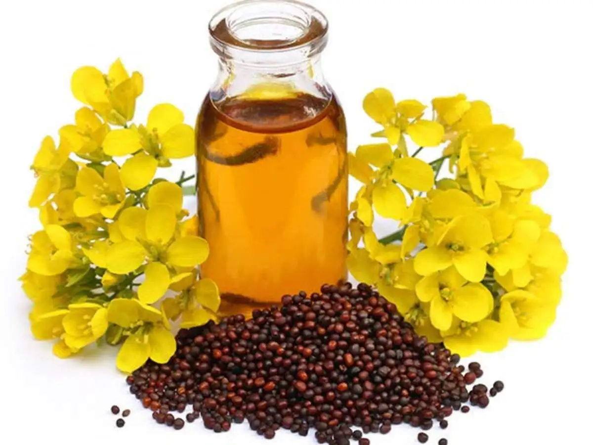 Factory Supply Premium Quality 100% Pure Natural Mustard Oil 2 Years Shelf Life Hot Sales Factory Manufacture