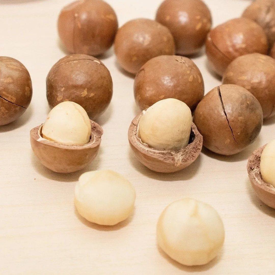 Macadamia Nuts Roasted and Cracked 22mm--25mm Nutritious Direct-Eating Snack Wholesale from Brazil