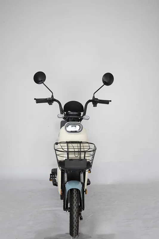 Factory Direct Sales City Sport Electric Bike With 48V Electric Bicycle