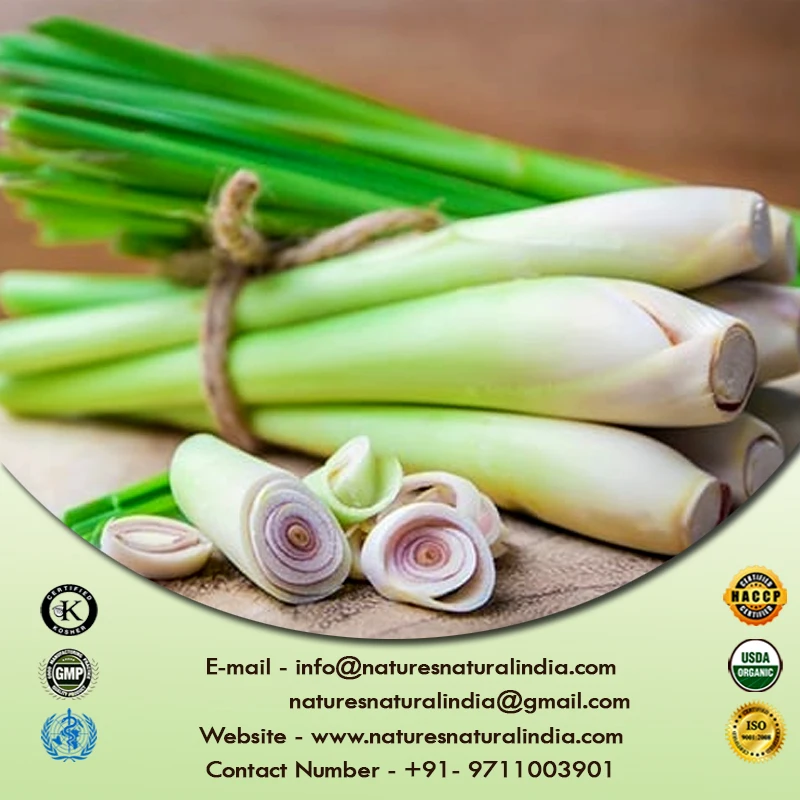 Factory Supply Natural Lemongrass Essential Oil for Aromatherapy Diffuser Cosmetic Additive and Candle Making