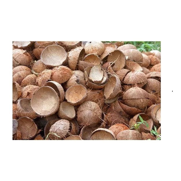 Natural Material Agricultural Waste Charcoal Coconut Shell Wholesale  Palm Kernel Shell Cheap Prices From Indonesia