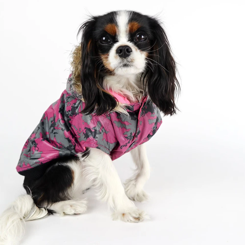 Pet Clothes In Different Color Warm Winter Coat Customized Made Cavalier King Charles Spaniel Dog Jacket BY Fugenic Industries