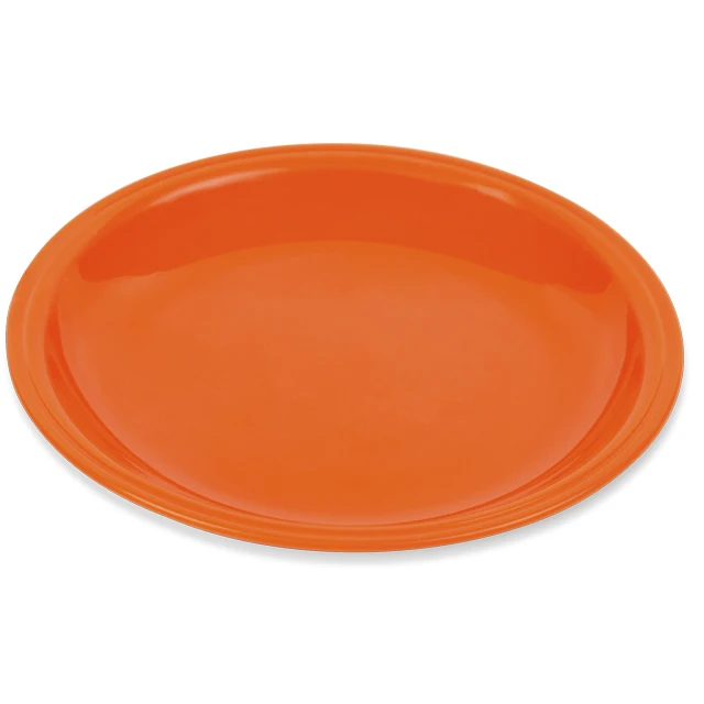 Saga Plate Large 10 Inches Reusable Party Plates