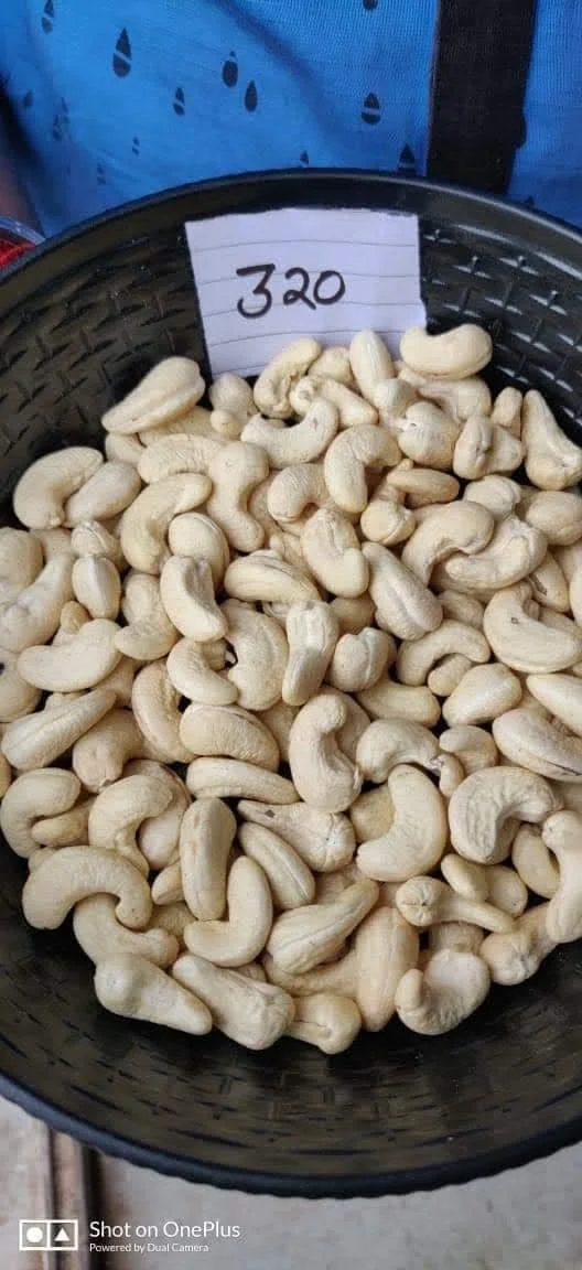 Great quality cashew nuts in bulk, cashew