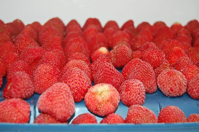 frozen IQF strawberry sweaty from egypt
