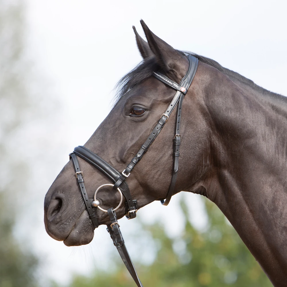 New Design Horse Leather Bridle With Bling Browbands Leather Bridle Horse Nylon Bridle Mouth Water Rein