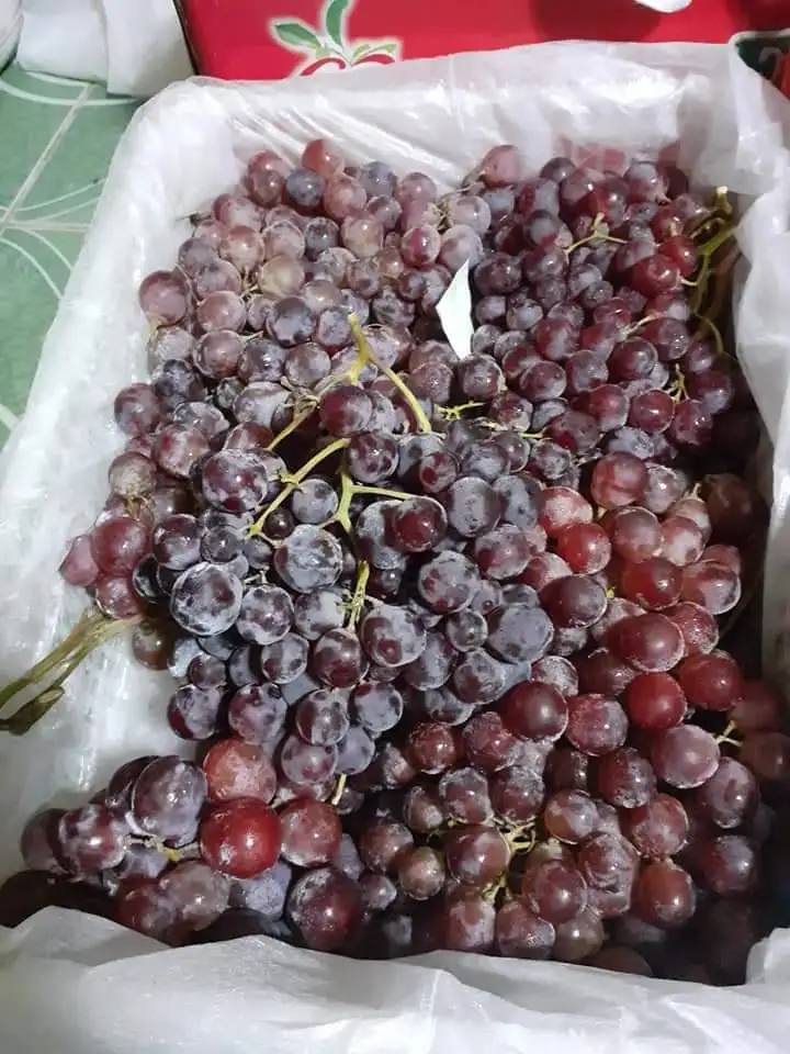 High Quality Fresh Grapes Red Globe crimson grapes