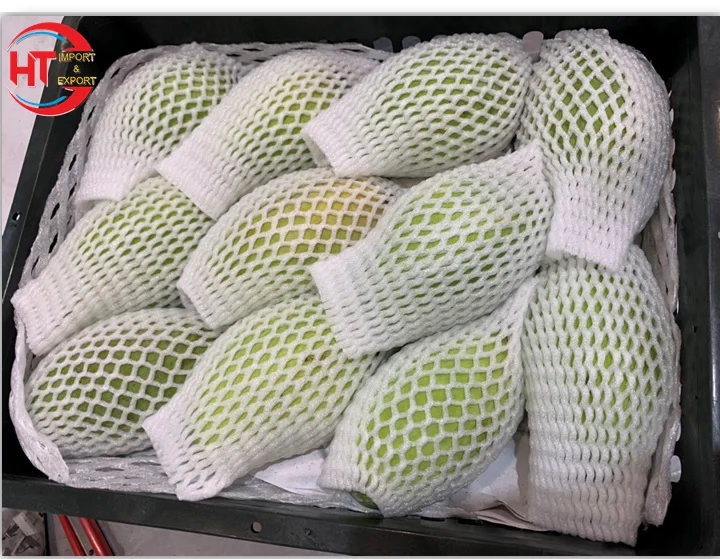 Large 8-10 cm Size Fresh Fruit Unripe Maturity Slightly Sweet Crisp Keos Mango Organic Cultivation From Vietnam Manufacturer