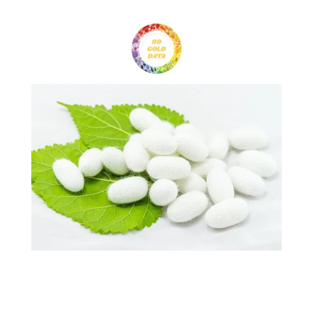 Premium Standard Pure Silkworm Cocoon A Natural, Eco-Friendly Material for Various Uses