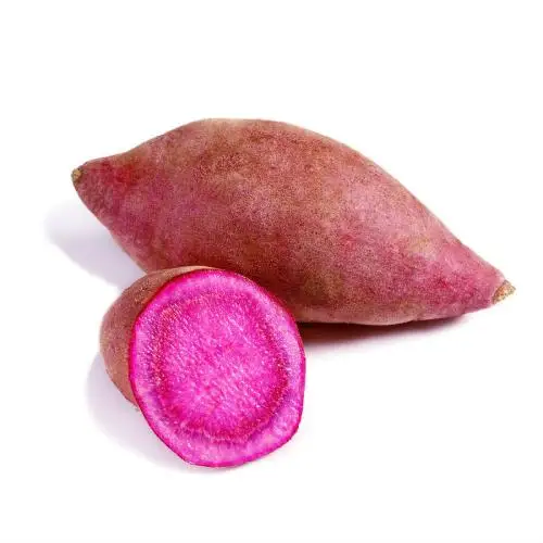 New Arrival Fresh Sweet Potatoes Egyptian Wholesale Sweet Potatoes Suppliers 100% Natural Cheap Price