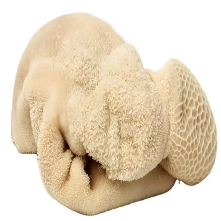 Frozen beef tripe, frozen cow stomach, beef Low Price