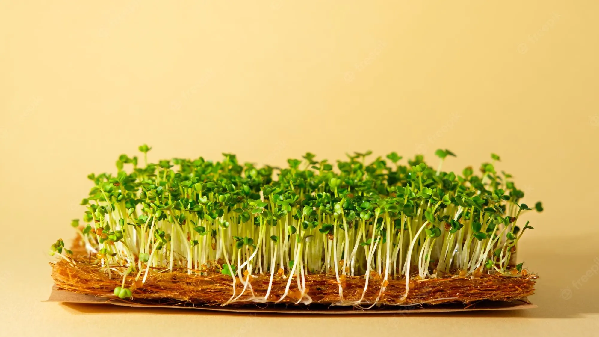 Лидер продаж биоковрик кокосовые коврики геотекстиль кокосовое волокно матрас наполнение производство из Вьетнама