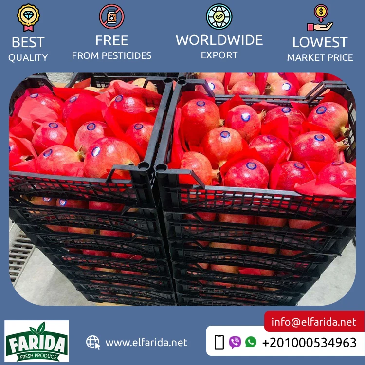 Premium Quality Hot Selling 100% Natural Sweet and Delicious Taste Red Fresh Fruit Pomegranate from Egypt at Low Price