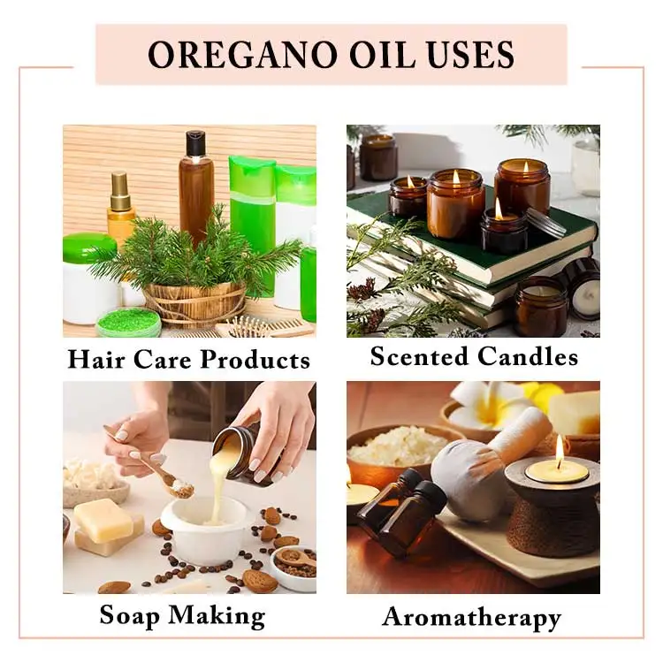Organic 100% Pure Oregano Essential Oil For Skin And Hair At Wholesale At Bulk Price - Oregano Essential Oil At Best Price