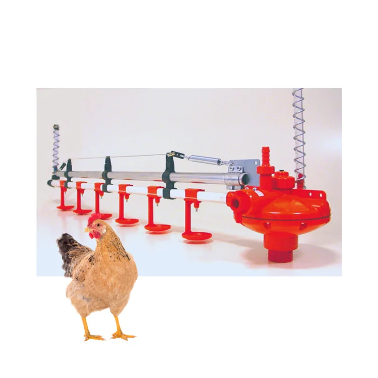 Poultry Feeders And Drinkers In Minimize Water Wasting For Duck Vietnam Manufacturer Best Sale Poultry Drinker And Feeder