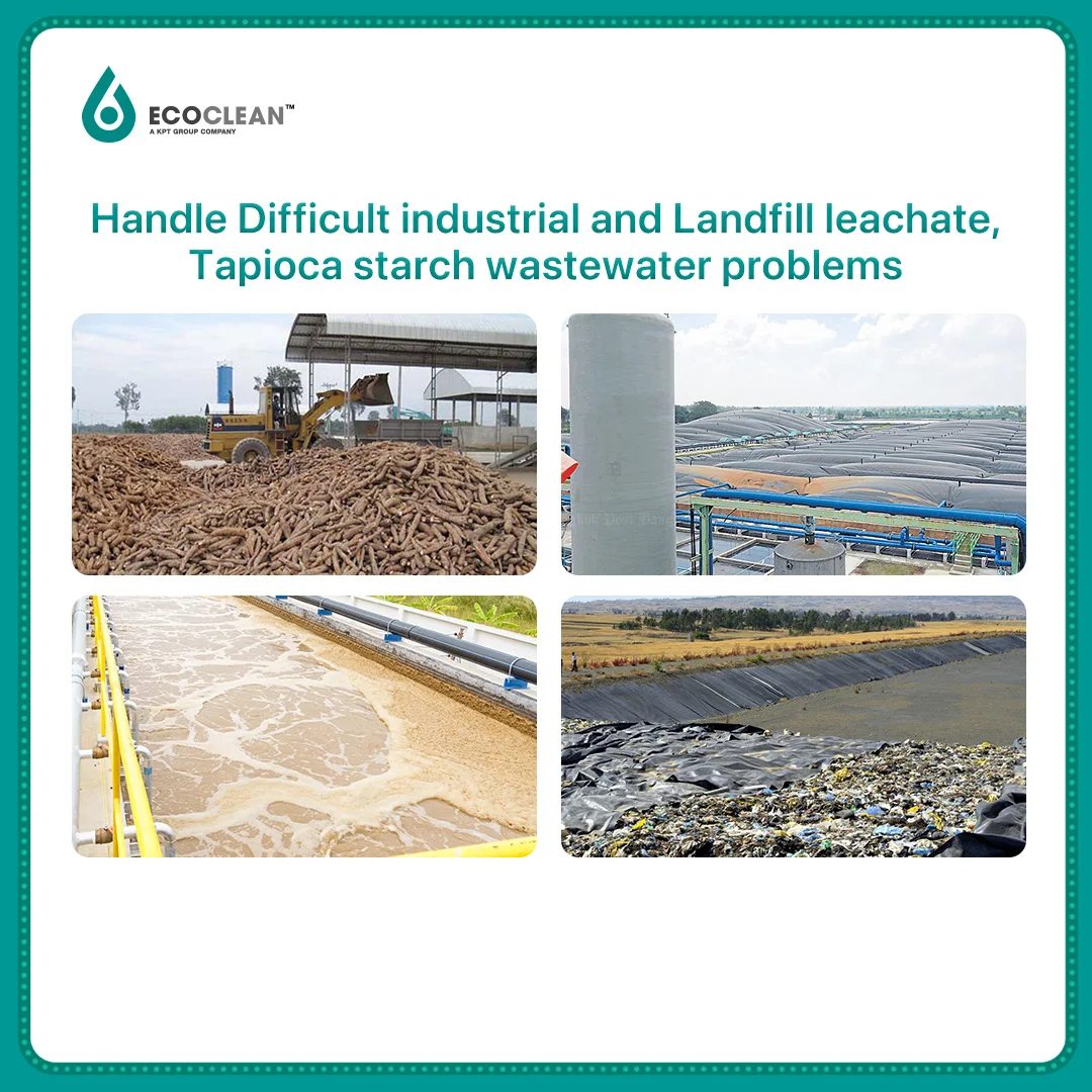 Sewage Treatment Specially Formulated for Landfill Leachate and Lagoon Problems Biological Probiotics- 5 billions CFU/Gram